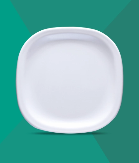 dinner-plate-11